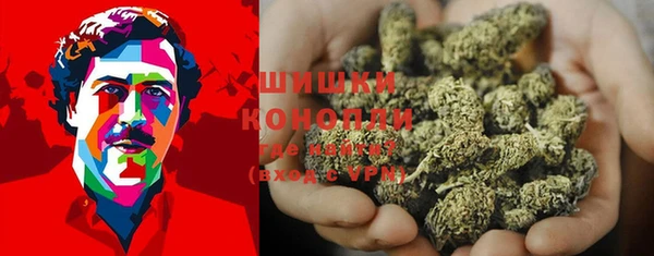 ПСИЛОЦИБИНОВЫЕ ГРИБЫ Магадан