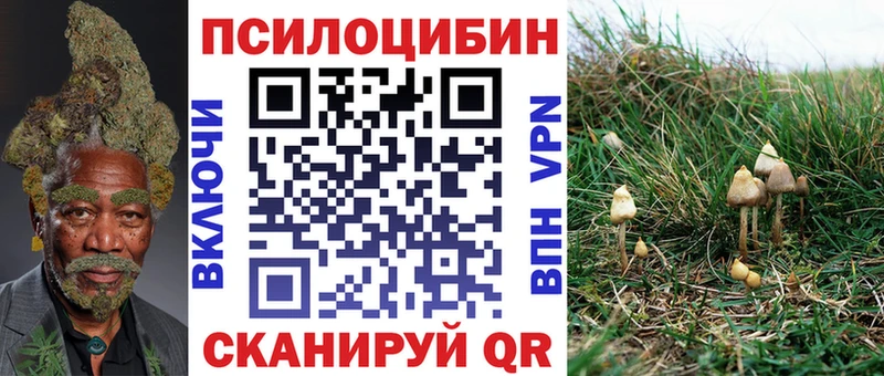 гидра как войти  Калининград  Псилоцибиновые грибы Psilocybine cubensis 