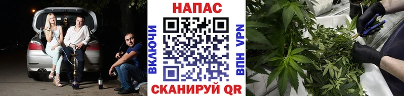 Канабис семена  Калининград 